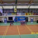 fest 41